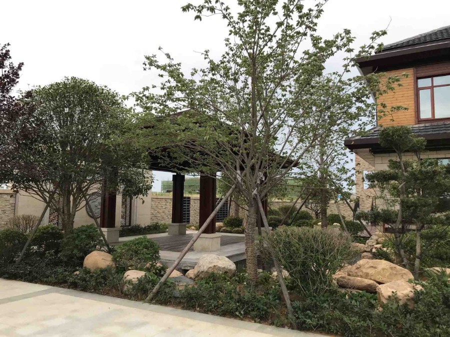 20180626_img_6149 拷贝.jpg