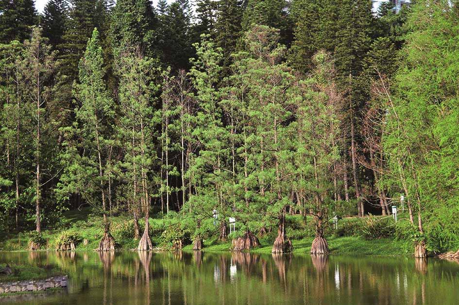 63d0f703918fa0ec4c7b8c3c289759ee3d6ddb47.jpg 63d0f703918fa0ec4c7b8c3c289759ee3d6ddb47.jpg