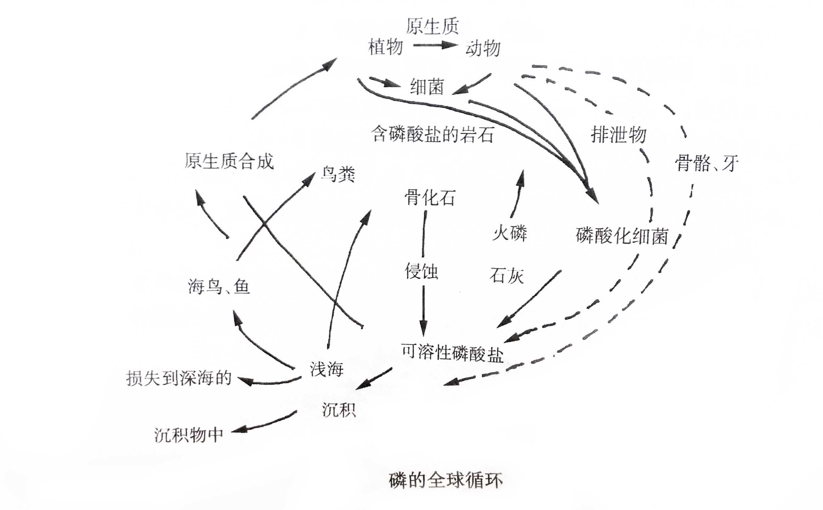 磷循�?.jpg 磷循�?.jpg